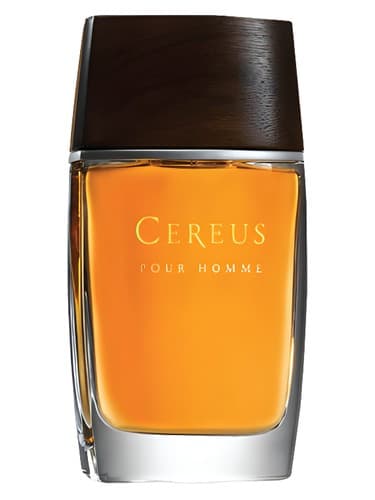 Cereus No. 14 - سرئوس شماره 14