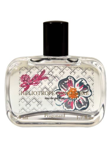 Héliotrope Gingembre - هلیوتروپ ژنژامبر