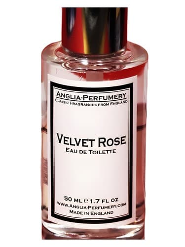 Velvet Rose - رز مخملی