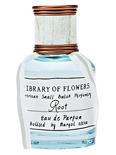 Root - ریشه