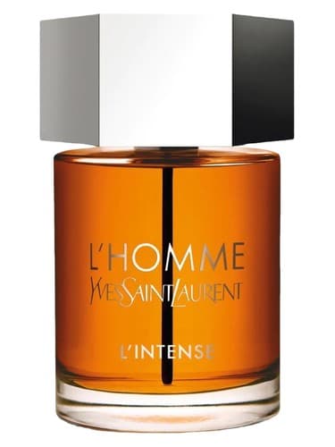 L'Homme Parfum Intense - لهوم پارفوم اینتنس