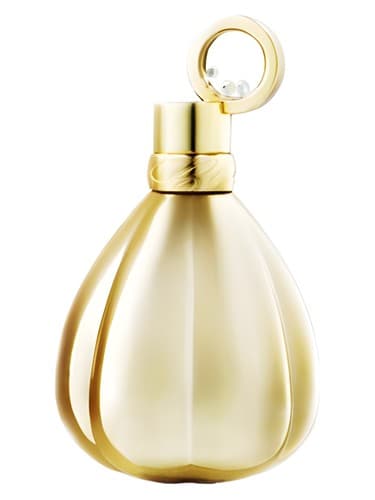 Enchanted Golden Absolute - مطلق گلد مسحور شده