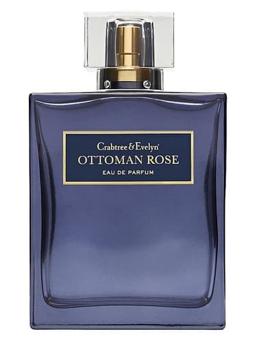 Ottoman Rose - رز عثمانی