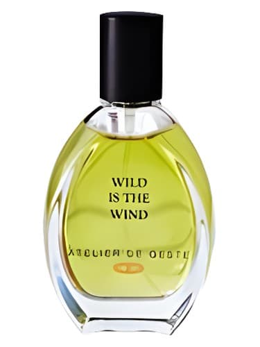Wild is the Wind - وایلد باد است