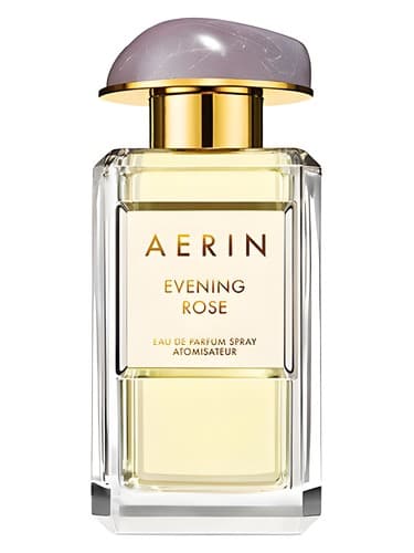 Evening Rose - ایونینگ رز