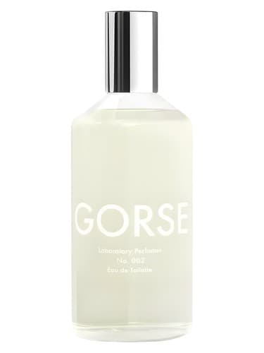Gorse