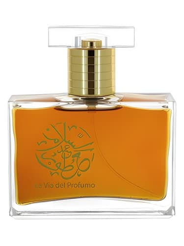 Amber Chocolate - امبر چاکلت