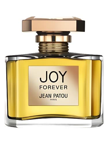 Joy Forever - جوی فوراور