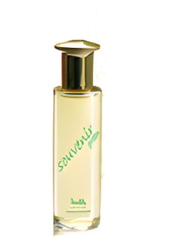 Souvenir Green - سوغاتی گرین