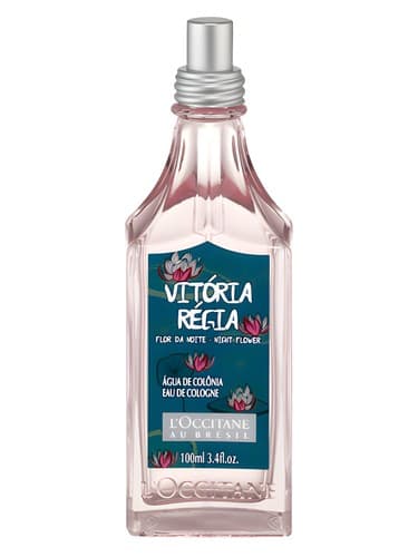 Vitória Régia Flor da Noite