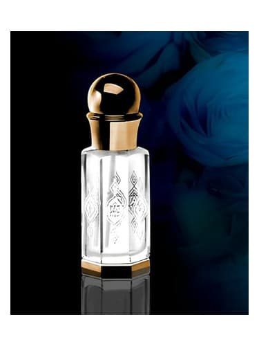 Body Musk - بادی ماسک