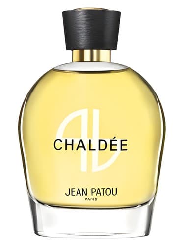 Collection Heritage Chaldée - کالکشن هریتیج شالدی