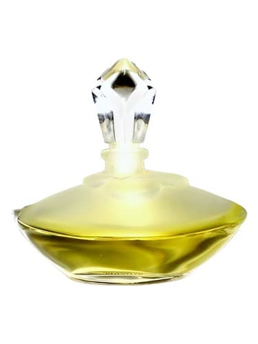 Gardenia - گاردنیا