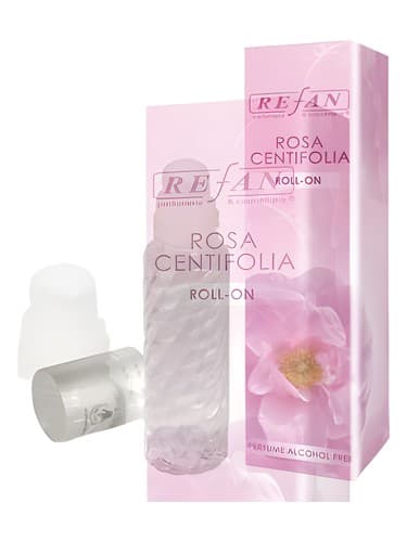 Rosa Centifolia - رزا سنتفولیا