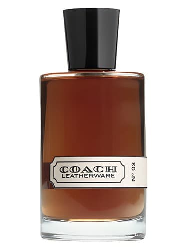 Coach Leatherware No. 03 - ظروف چرمی کوچ شماره 03