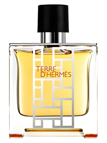 Terre d'Hermès flacon H 2013 