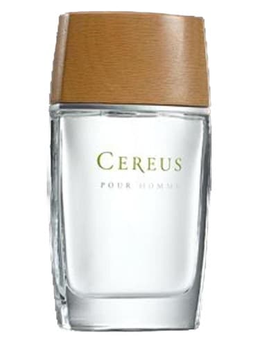 Cereus No.4 - سرئوس شماره 4