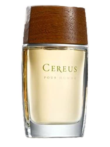 Cereus No.7 - سرئوس شماره 7