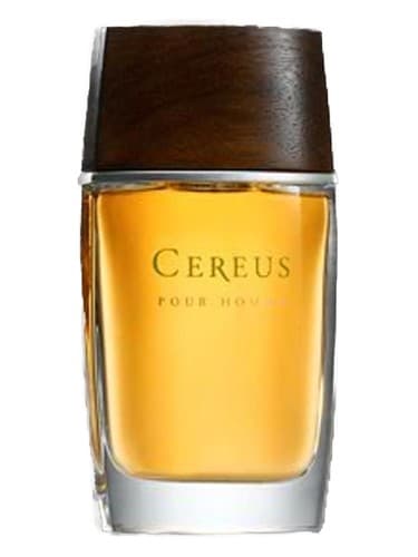 Cereus No.11