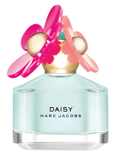 Daisy Delight