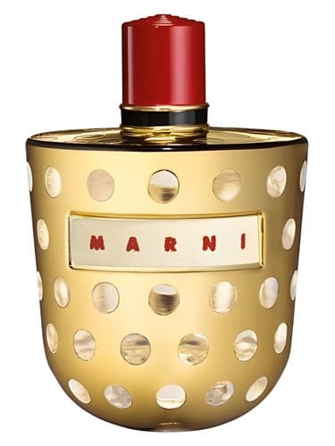 Marni Metallic - مارنی متالیک