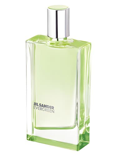 Evergreen - اورگرین