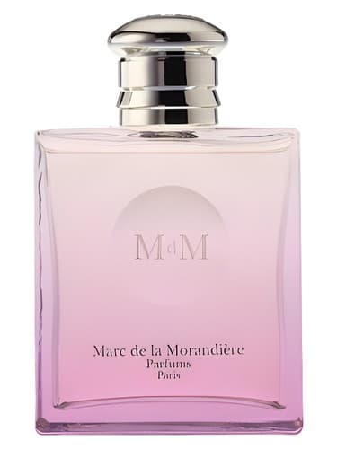 Lady MDM - خانم ام دی ام