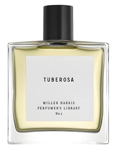 Tuberosa - توبروزا
