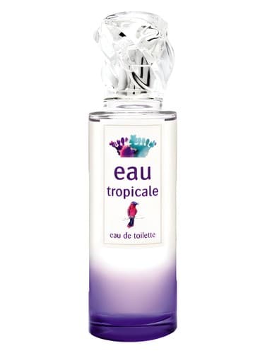 Eau Tropicale - او تروپیکال