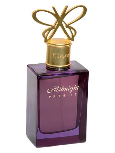 Midnight Promise - وعده نیمه نایت