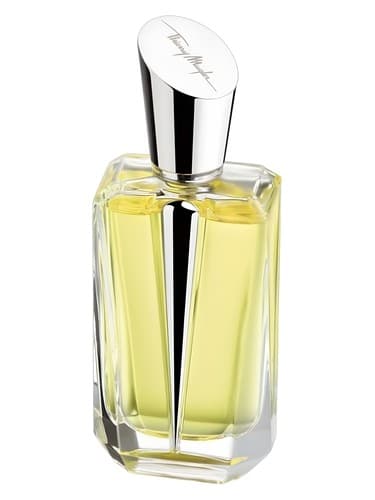 Mirror Mirror Collection - Miroir des Secrets - میرور میرور کالکشن میرور د سکرت