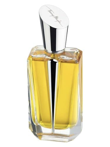 Mirror Mirror Collection -  Miroir des Envies - میرور میرور کالکشن میرور دزانویز
