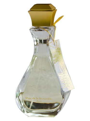 Kiyo - کیو