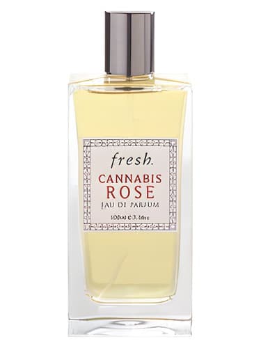 Cannabis Rose - کانابیس رز