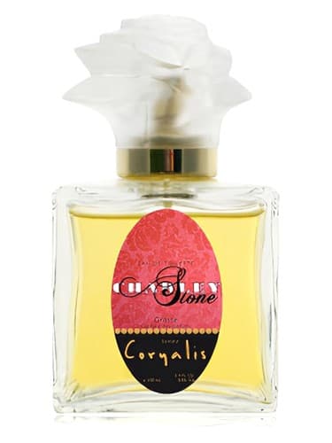 Coryalis - کوریالیس