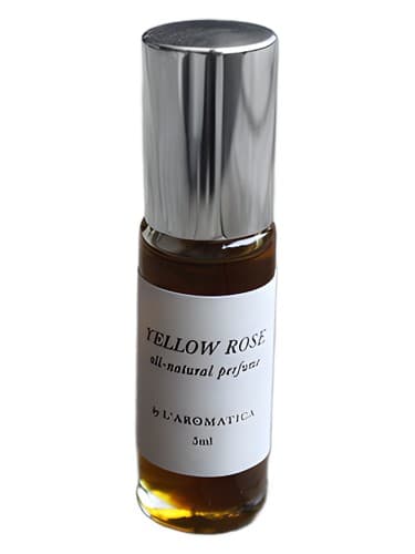 Yellow Rose - رز یلو