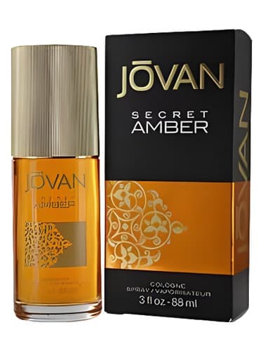 Secret Amber - سکرت امبر