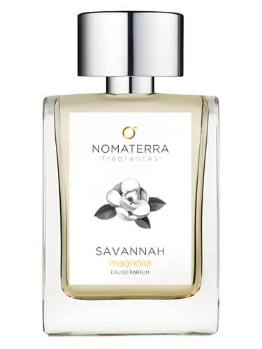 Savannah Magnolia