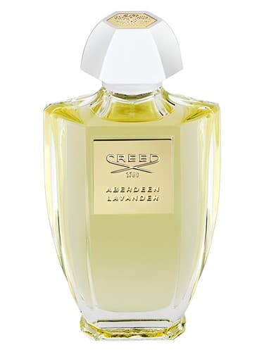 Aberdeen Lavender - آبردین لاوندر