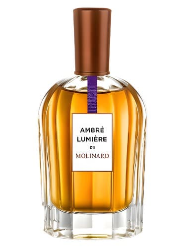 Ambre Lumiere - آمبر لومیر