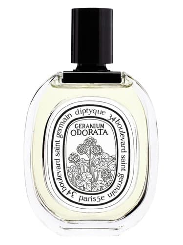 Geranium Odorata - ژرانیوم اودوراتا