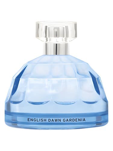 English Dawn White Gardenia - انگلیش داون وایت گاردنیا
