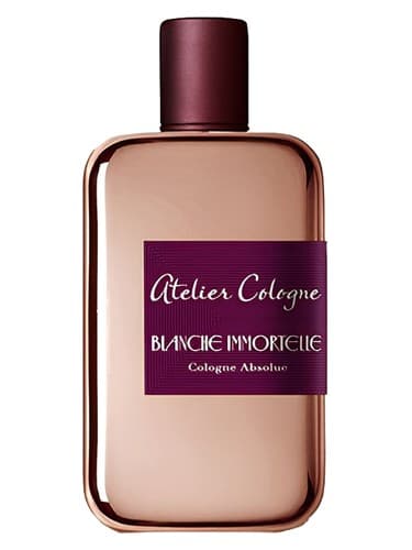 Blanche Immortelle - بلانش ایمورتل