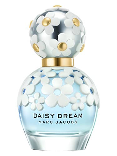 Daisy Dream - دیزی دریم