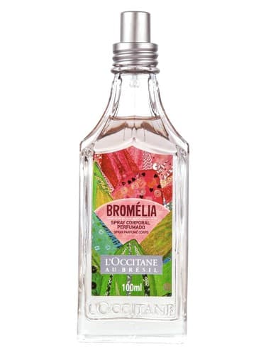 Bromélia - بروملیا