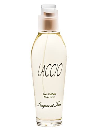 Laccio