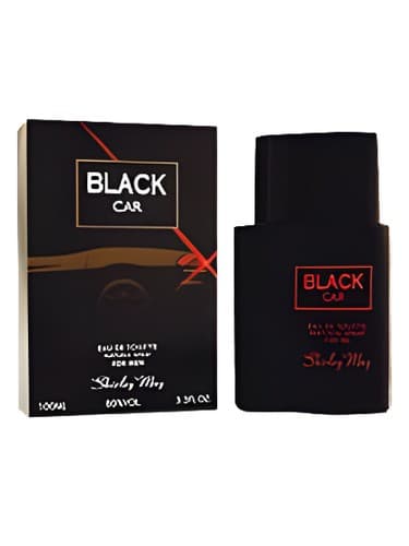 Black Car - ماشین بلک