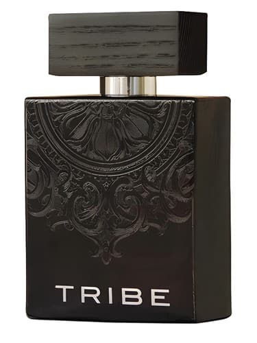 Tribe - قبیله