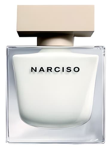 Narciso  - نارسیسو