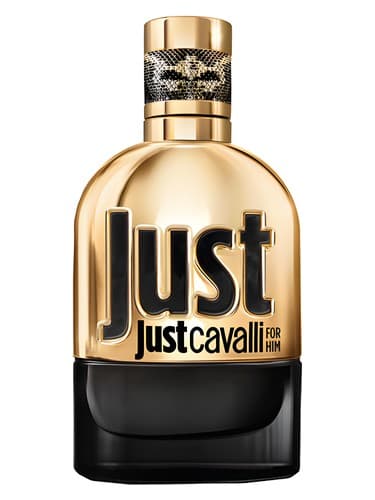 Just Cavalli Gold for Him - جاست کاوالی گلد فور هیم